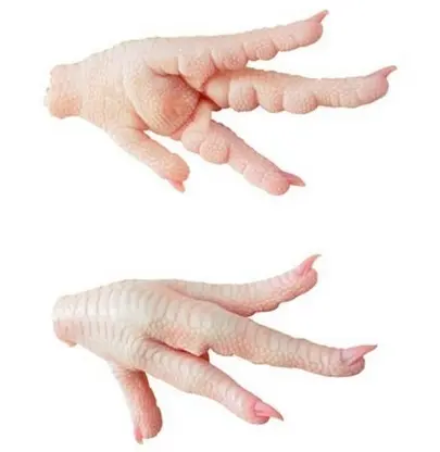 Raw fresh chicken feet isolated on white background