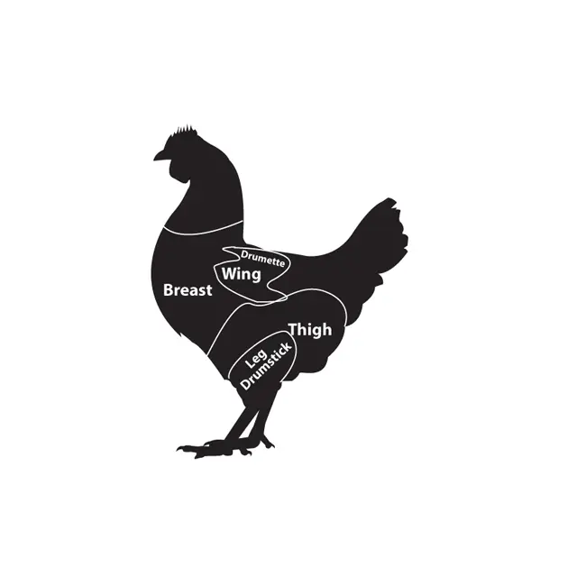 Chicken cuts diagram showing breast, wing, thigh and drumstick sections