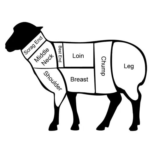 Diagram showing different lamb meat cuts labeled on a sheep silhouette