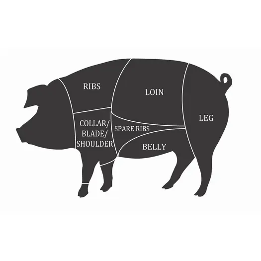Diagram of pork cuts labeled on a pig silhouette