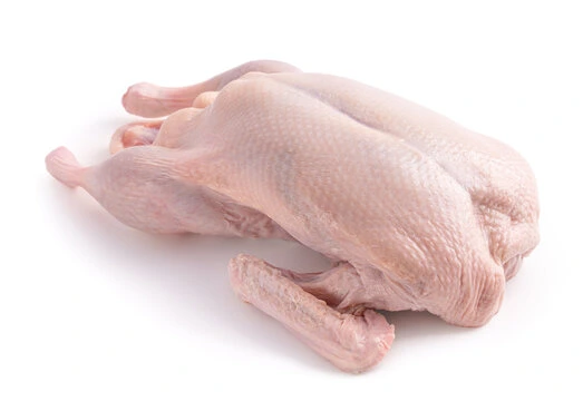 Whole raw duck cleaned and ready for cooking on white background